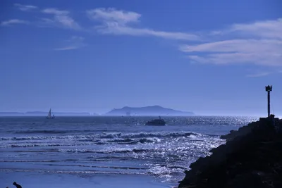 DSC_0861 (Large).JPG